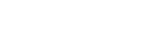 bluogy